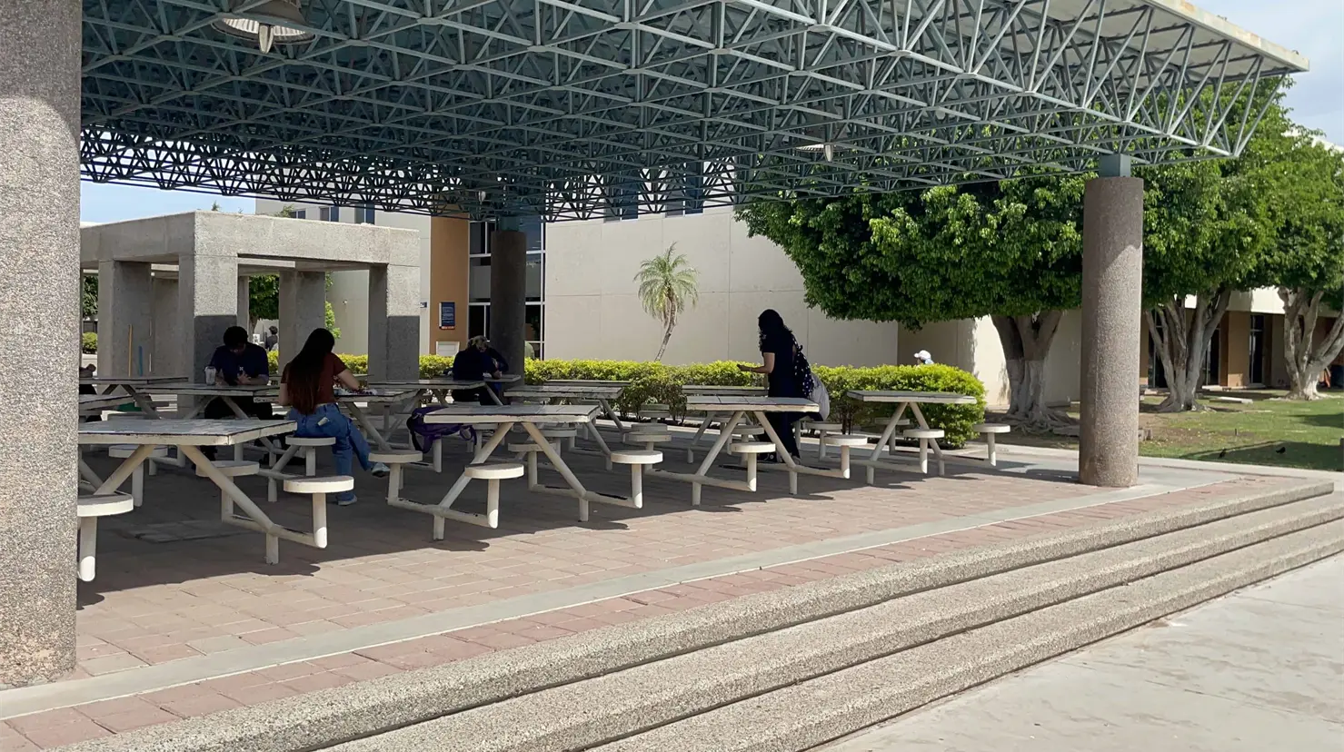 El Itson mantiene programas de estudio que hacen atractiva la universidad para elevar la matriculación