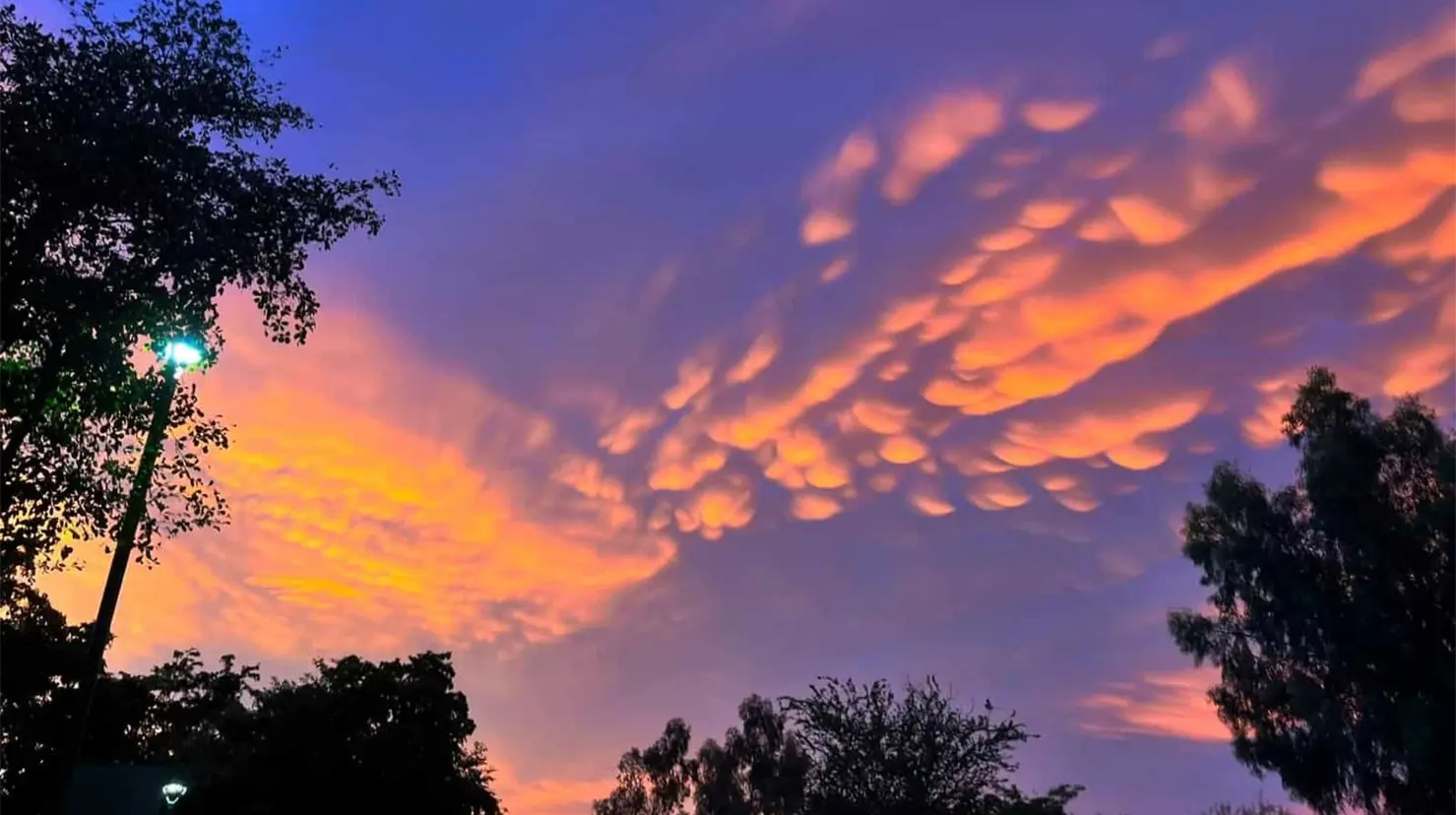 El cielo de Ciudad Obregón el pasado domingo 12 de julio sorprendió a los ciudadanos, quienes compartieron fotografías y videos de las peculiares nubes.