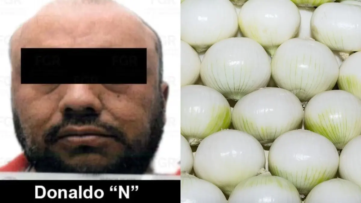 Sentencian a 8 años de prisión a hombre que transportaba más de 262 kilos de metanfetamina ocultos entre cebollas
