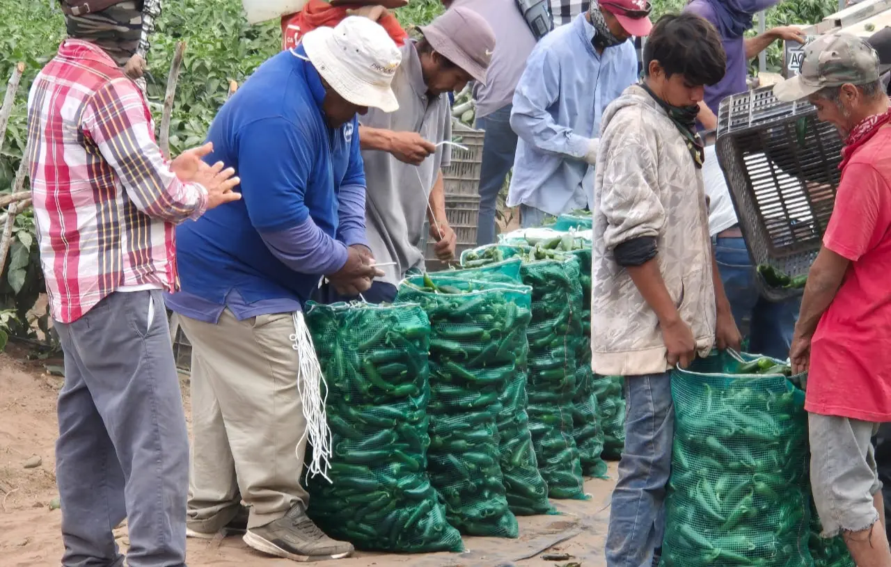 Celebran horticultores recuperación de la presa