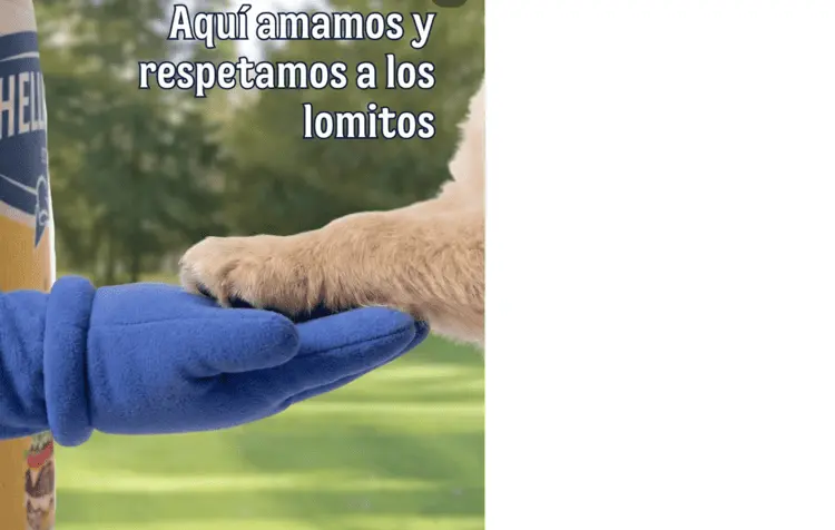 imagen-cuerpo