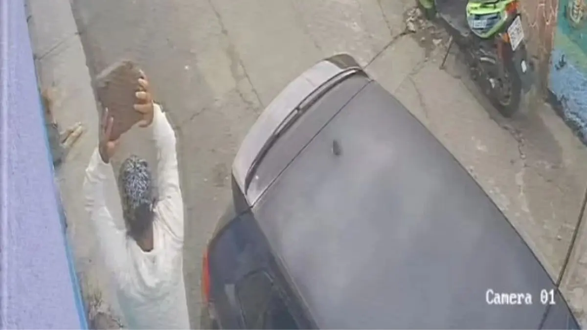 VIDEO | Hombre lanza ladrillo a perrito que solamente descansaba; ya hay una denuncia