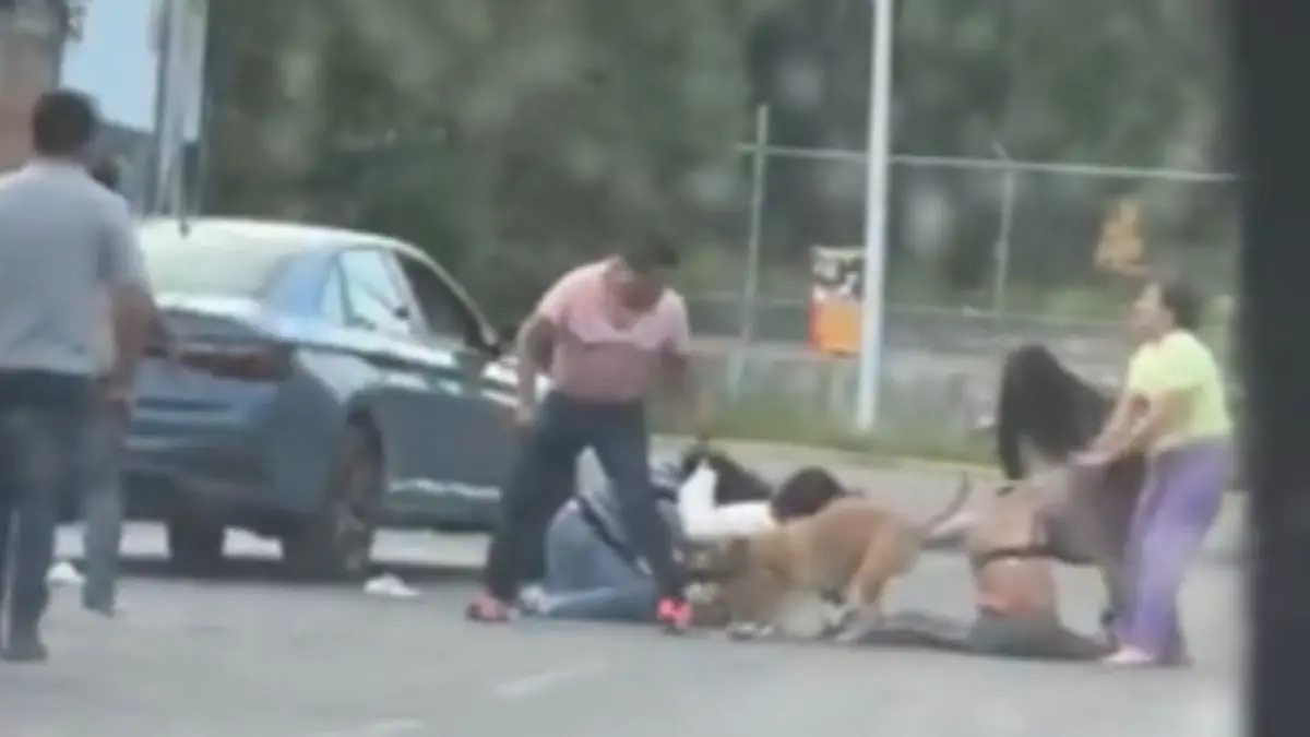 VIDEO | Captan pelea entre vecinos en fraccionamiento de Puebla; un perro también intervino en la riña