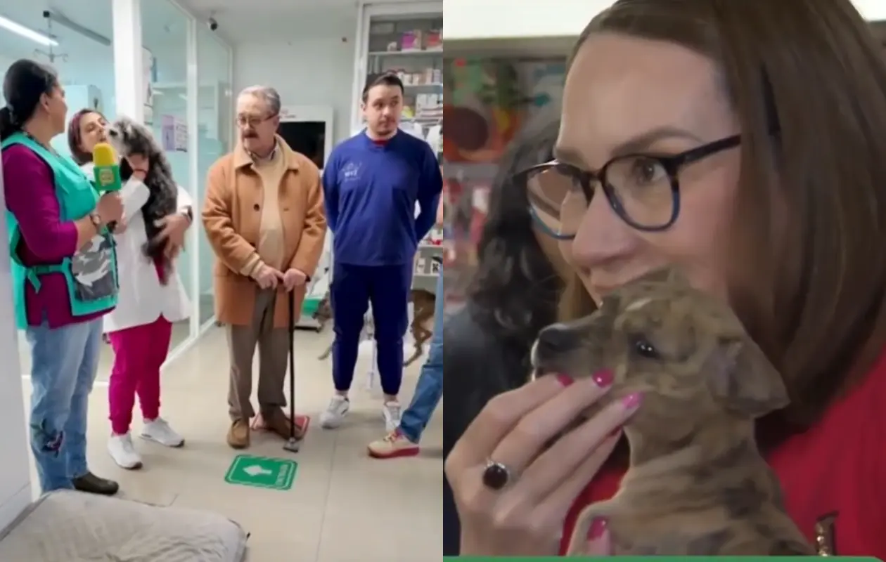 Pedro Sola y conductores de Ventaneando visitan refugio de perros tras polémica