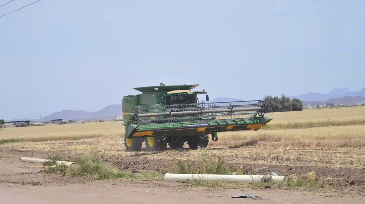 Condiciones adversas del clima obligará a asegurar las cosechas en el Valle del Mayo