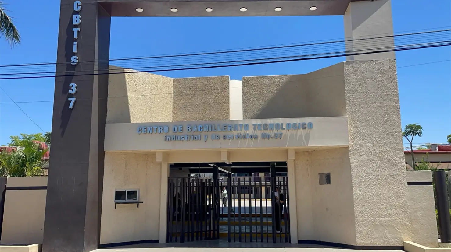 Los estudiantes van a universidades de la región a programas afines de los que egresaron y continuarán colaborando con las empresas donde estuvieron realizando su estancia
