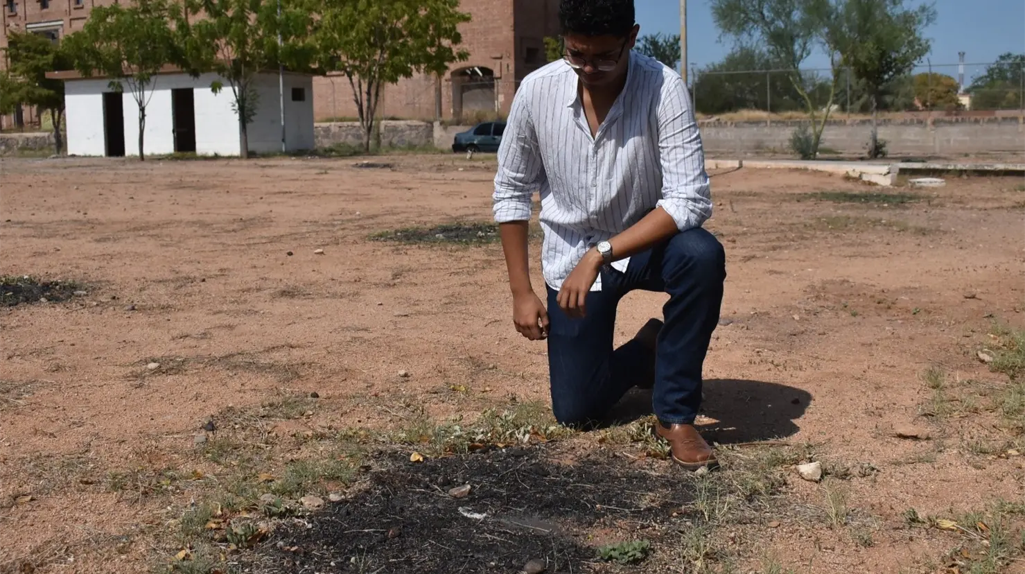Queman árboles plantados por jóvenes del Partido Sonorense en Navojoa