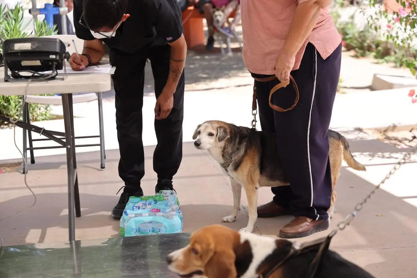 Ejercer la tutoría responsable, adoptar o acoger temporalmente a un animal y participar en jornadas de esterilización son las principales acciones que realiza la ciudadanía para controlar o reducir la población de animales en situación de calle en el municipio de Hermosillo