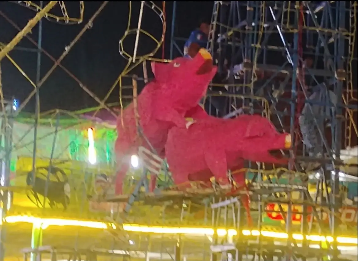 Pirotecnia con cerdos apareándose desata polémica durante fiestas de la Virgen del Carmen en Puebla