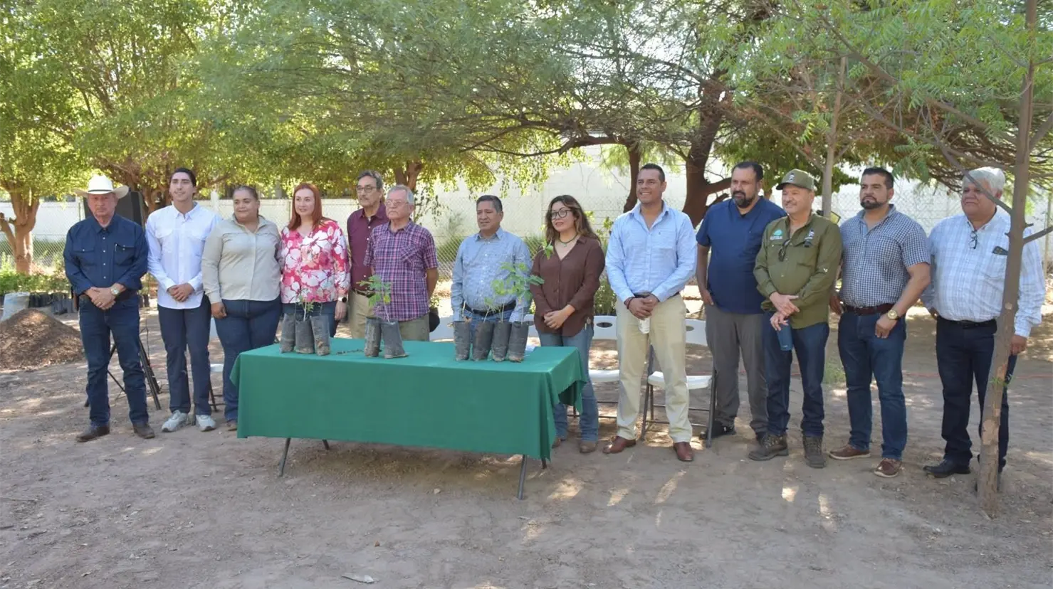Donan 4 mil árboles para reforestar Navojoa y Álamos