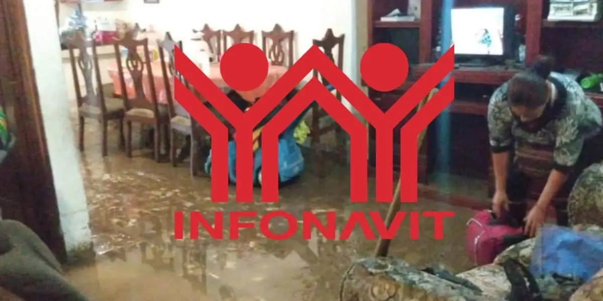 El trámite debe realizarse directamente ante el Instituto, donde se verifica que el crédito cumpla con las condiciones necesarias para acceder a la cobertura.