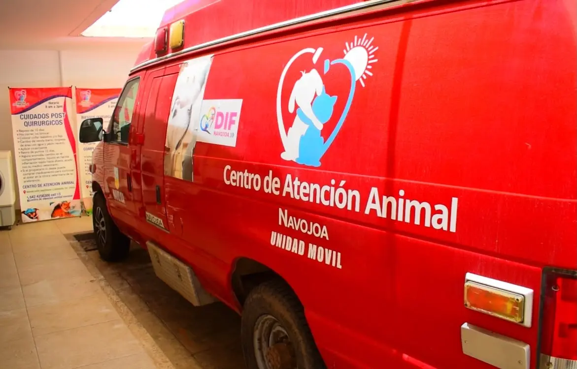Opera Navojoa tres sedes simultáneas de esterilización gratuita