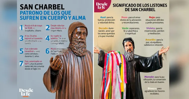 imagen-cuerpo