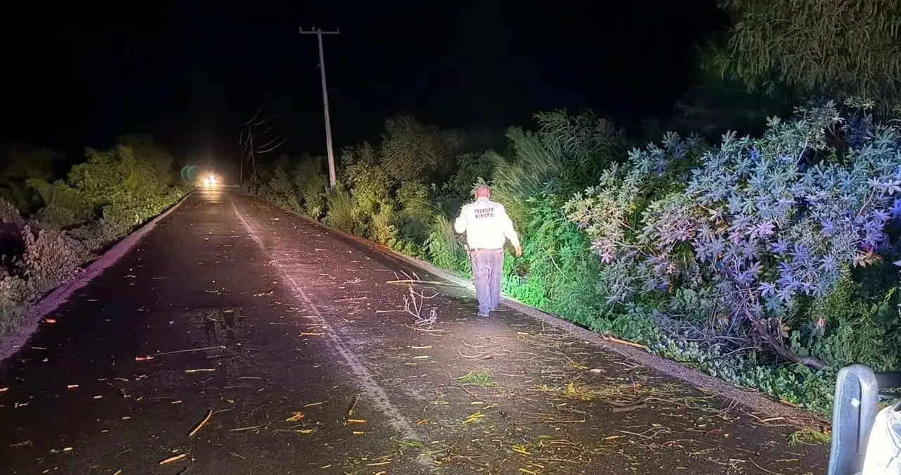 Tormenta nocturna deja daños en la red eléctrica de Navojoa y Álamos