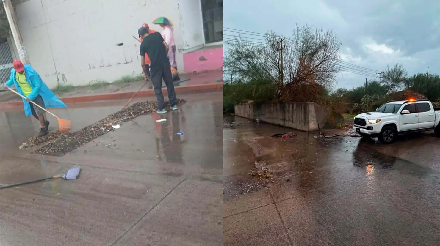Lluvias en Guaymas derriban árbol y dañan transformadores este fin de semana