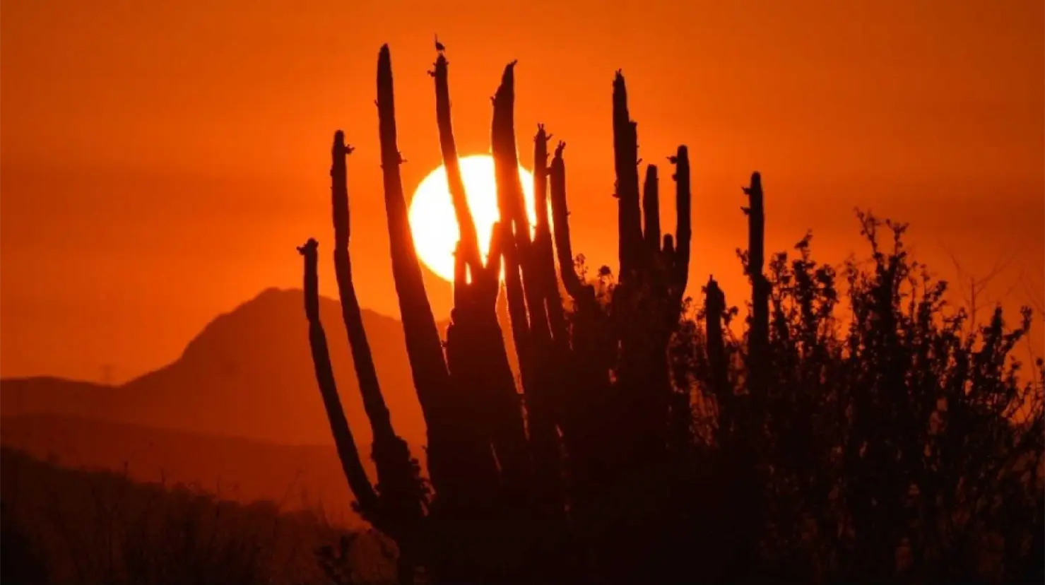 Sonora lidera casos por calor en México