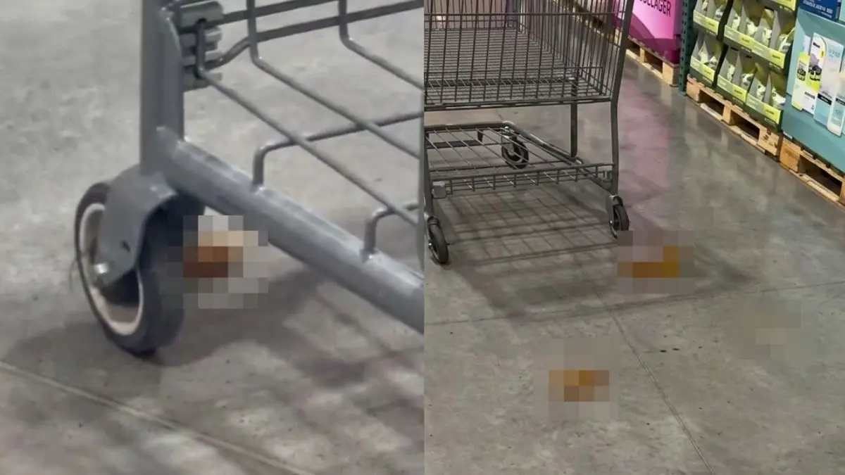 VIDEO | Persona defeca en Costco de Nuevo León