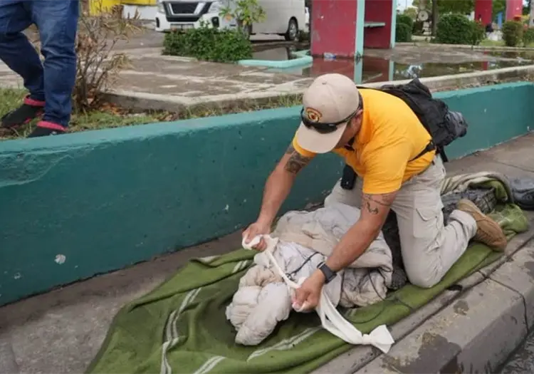 Cocodrilo de dos metros aparece en calles de Mazatlán y moviliza a cuerpos de emergencia