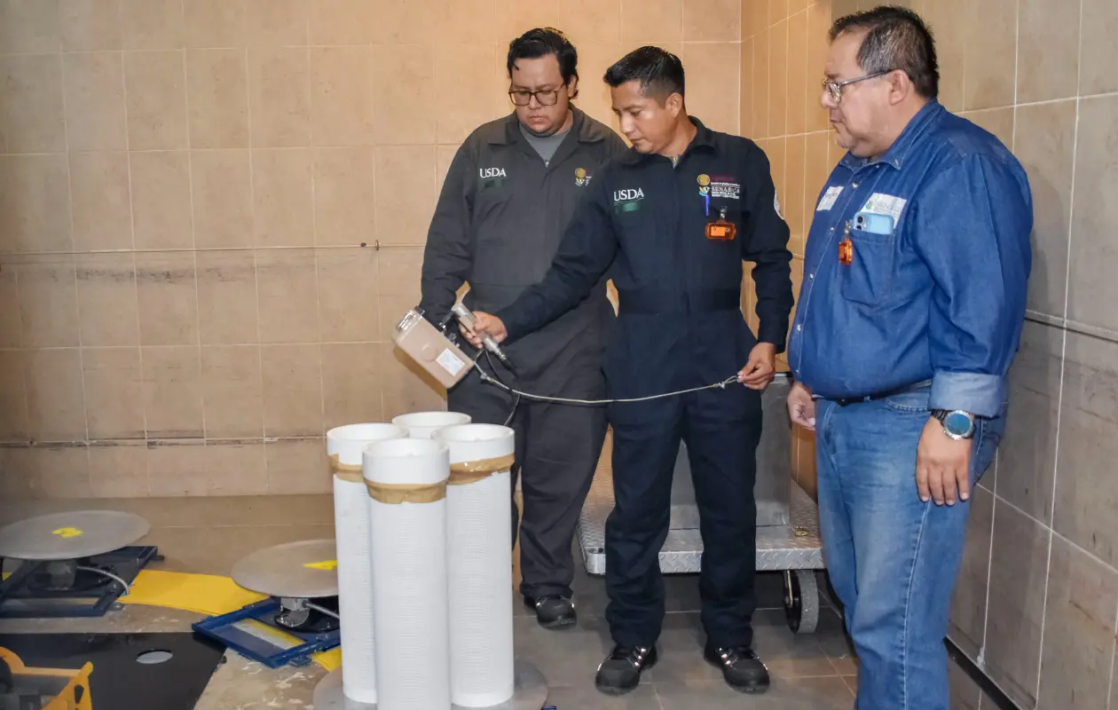 México libera en Chihuahua moscas estériles contra gusano barrenador producidas en Chiapas