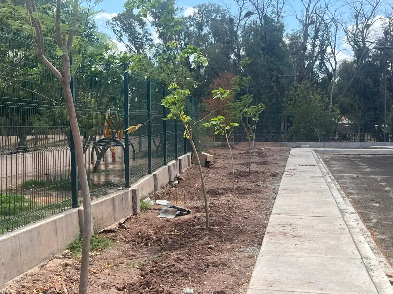Desplegarán jornadas de reforestación intensivas