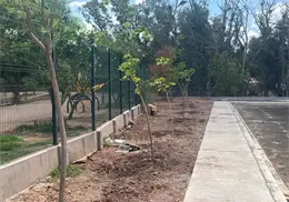 Desplegarán jornadas de reforestación intensivas