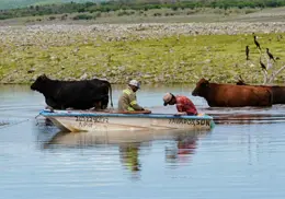 Agro da respiro a economía de Sonora Agro da respiro a economía de Sonora