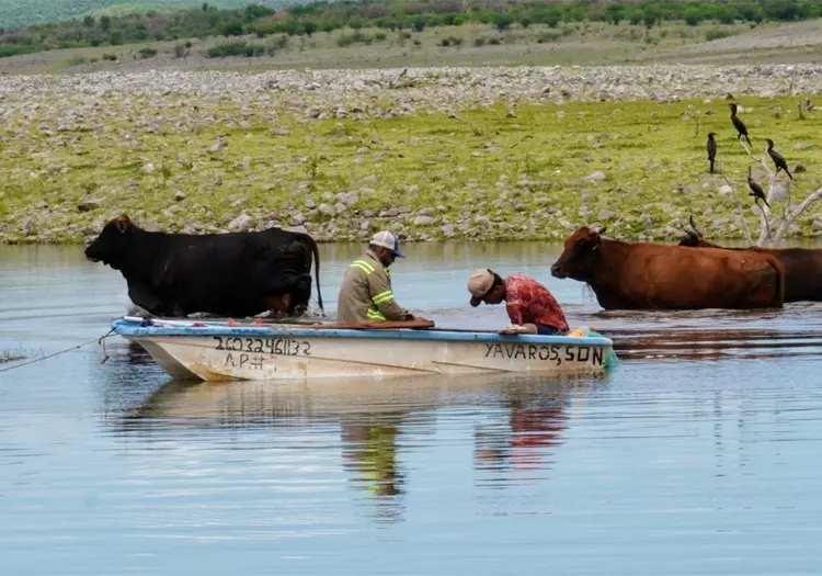 Agro da respiro a economía de Sonora