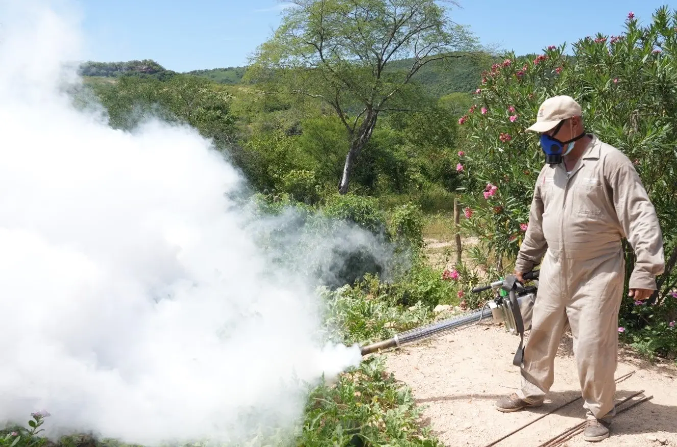 Suma Sonora 969 casos de dengue