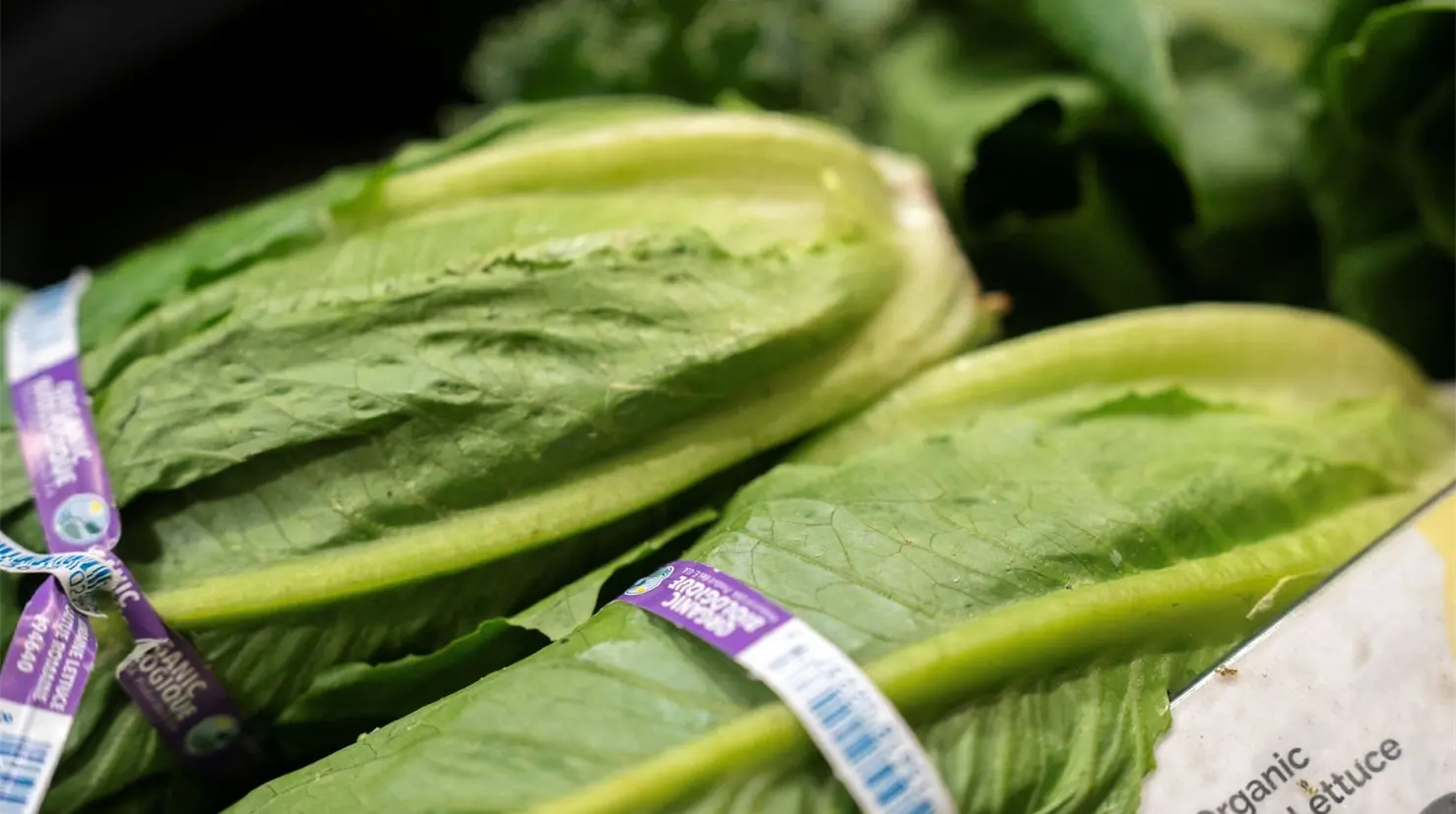 Los Centros para el Control y la Prevención de Enfermedades (CDC) y la Administración de Alimentos y Medicamentos (FDA) investigan un brote que afecta a nueve estados