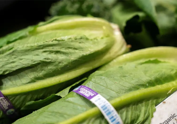 EU reporta primeras dos muertes por brote de diarrea explosiva relacionado con lechuga mexicana