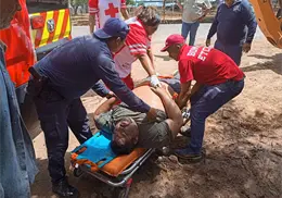 Abejas atacan a 35 personas en Villa Tres Cruces, Etchojoa