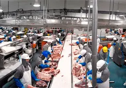 SuKarne explora su venta por más de 2 mil millones de dólares en medio de cambios en la industria cárnica
