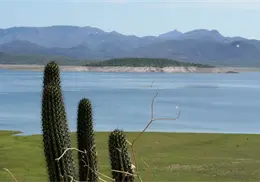 Presas del sur de Sonora suben de nivel