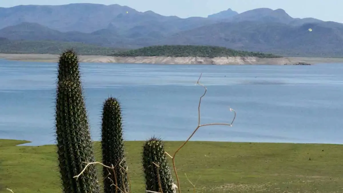 Aumenta la captación en presas del sur de Sonora