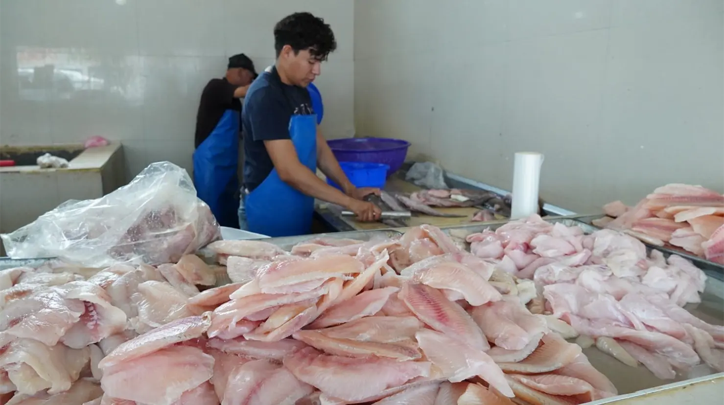 Mejora el surtido de pescados y mariscos