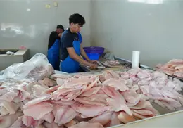 Mejora el surtido de pescados y mariscos Mejora el surtido de pescados y mariscos