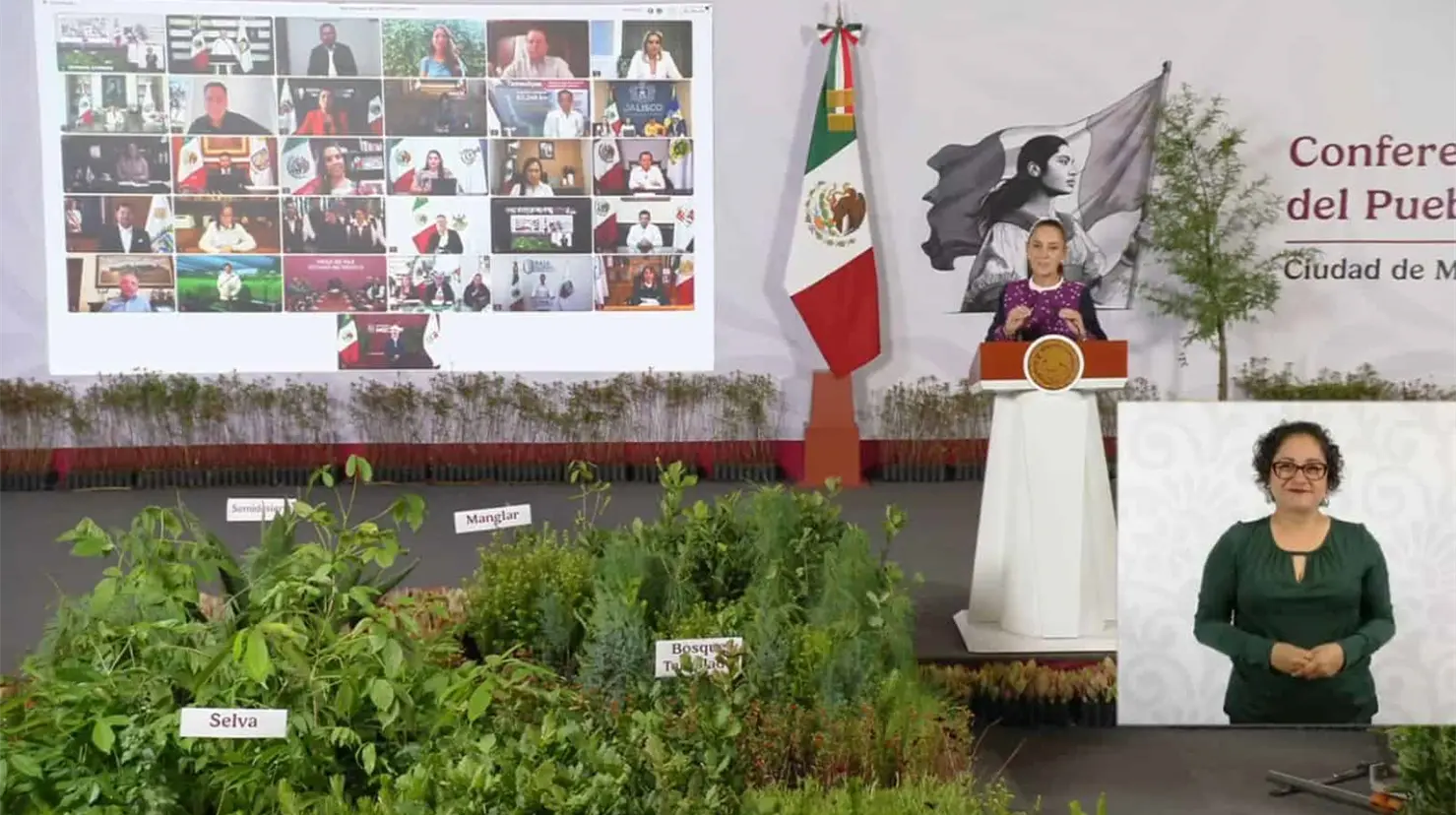 Sheinbaum realizará Jornada Nacional de Reforestación: Plantarán 6.6 millones de árboles