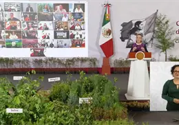 Sheinbaum realizará Jornada Nacional de Reforestación: Plantarán 6.6 millones de árboles
