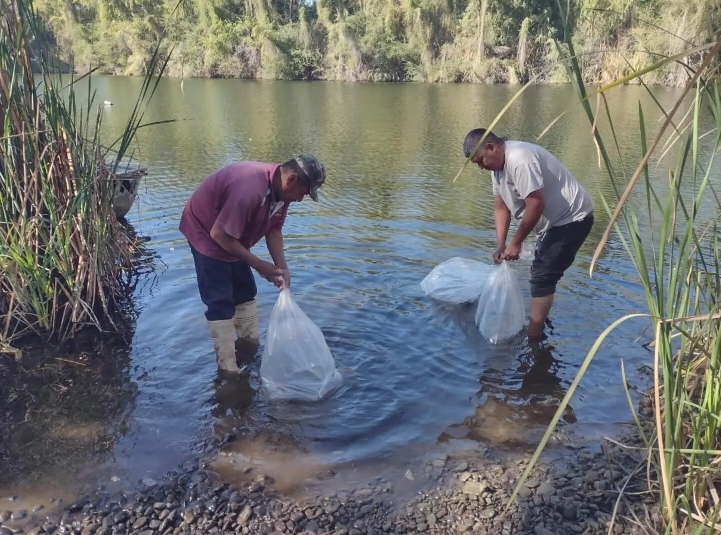 Pescadores mayos pedirán apoyos de acuacultura