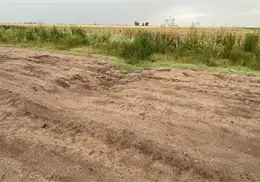 Ganaderos de Huatabampo exigen rehabilitación de caminos