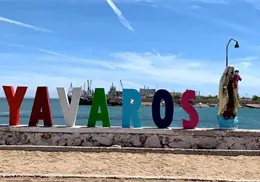 Siembran más de 9 millones de larvas en Yavaros Siembran más de 9 millones de larvas en Yavaros
