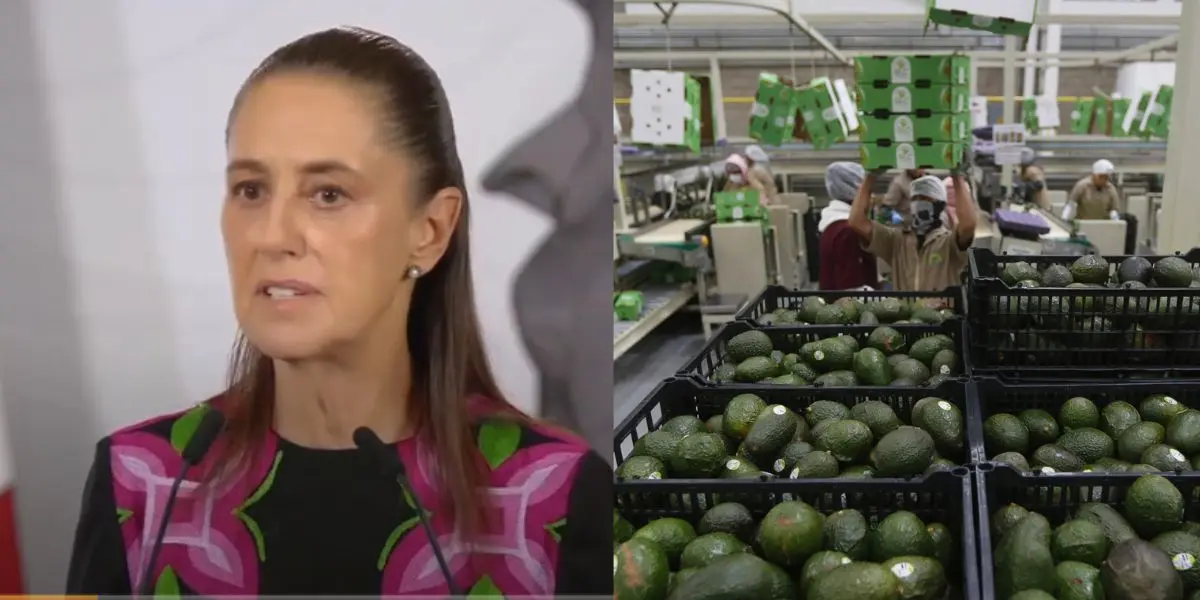 La Fiscalía de Michoacán estima que la extorsión al sector aguacatero generaba miles de millones de pesos cada año.