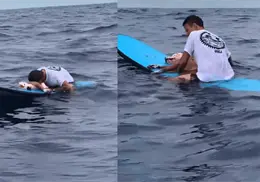 ¡Último adiós en el mar! surfista despide a su perro con emotivo mensaje
