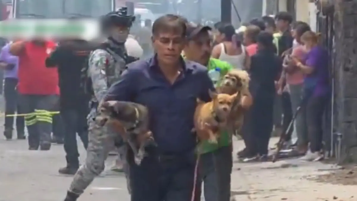 VIDEO | Rescatan a cuatro perritos tras explosión de pipa de gas en Cuernavaca