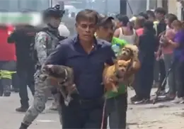 VIDEO | Rescatan a cuatro perritos tras explosión de pipa de gas en Cuernavaca