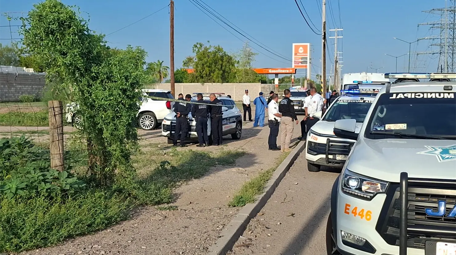 Localizan tres cuerpos sin vida en un vehículo