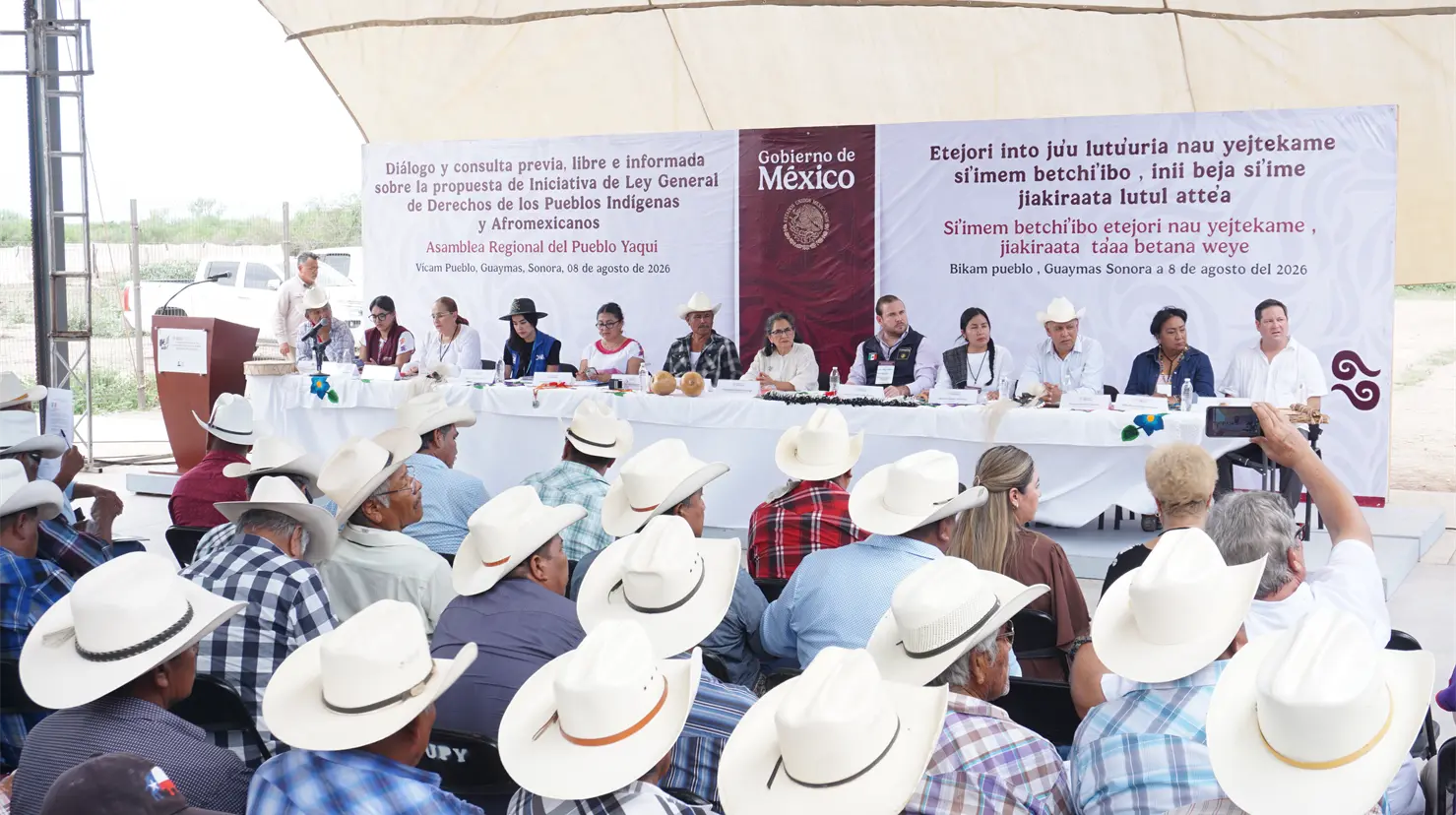 Deberá quedar el 12 de octubre ley indígena