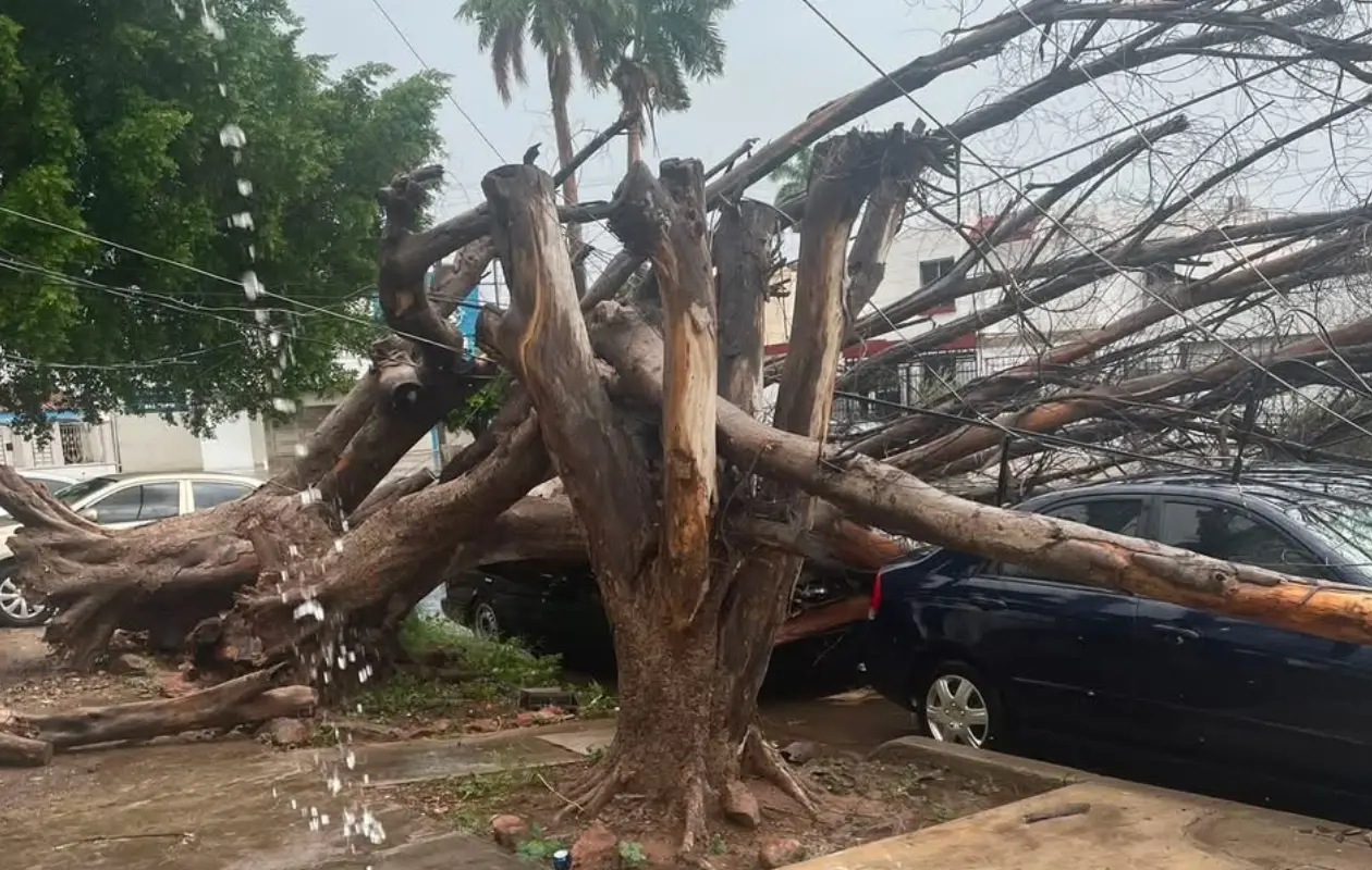 Alfonso Durazo informa acciones para restablecer electricidad tras lluvias en Cajeme