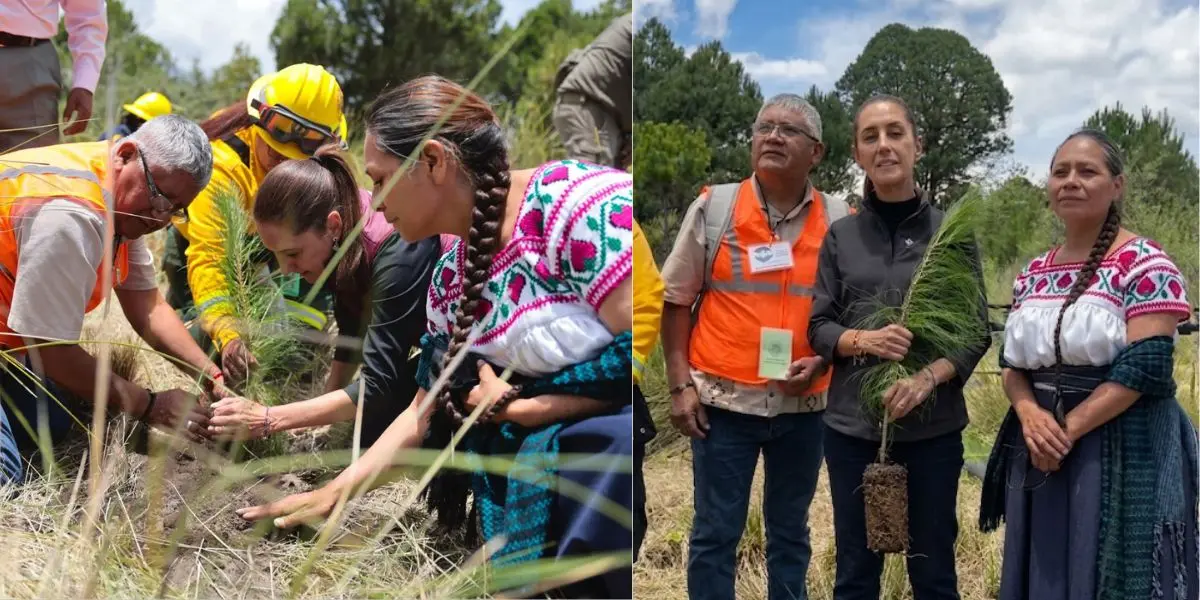 Sheinbaum encabezó en Puebla el arranque de una jornada para recuperar zonas forestales del país.