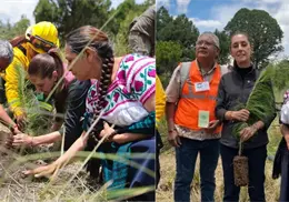 Sheinbaum decreta el segundo domingo de agosto como Día Nacional de la Reforestación Sheinbaum decreta el segundo domingo de agosto como Día Nacional de la Reforestación